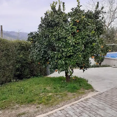 Casa Dos Mirandas